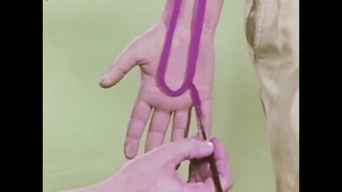 USA - 1959 - A doctor explains the difference between arteries and veins. Stock Footage 264643100