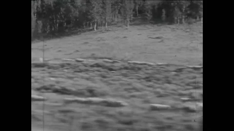USA - 1962 - Various means of communication are used to keep information about Stock Footage 296410279