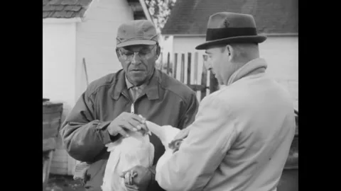 USA - 1963 - A county agent shows a poultry farmer and a visiting Nigerian Stock Footage 340662602