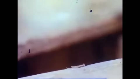 USA - 1963 - Nails are driven through wood at a construction site. A hammer Stock Footage 327745861