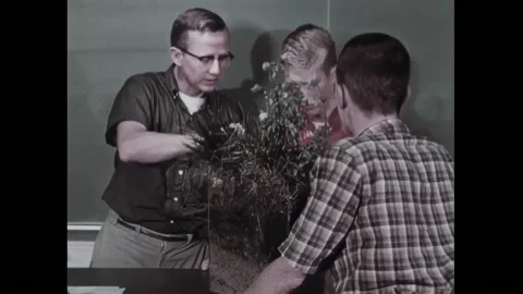 USA - 1963 - Soil is it examined and put soil into a test tube adding ferrous Stock Footage 328192577