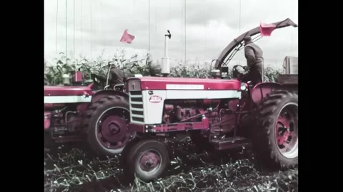 USA - 1968 - A tractor cuts corn on a farm. A hopper pulls the corn into a Stock Footage 327740735