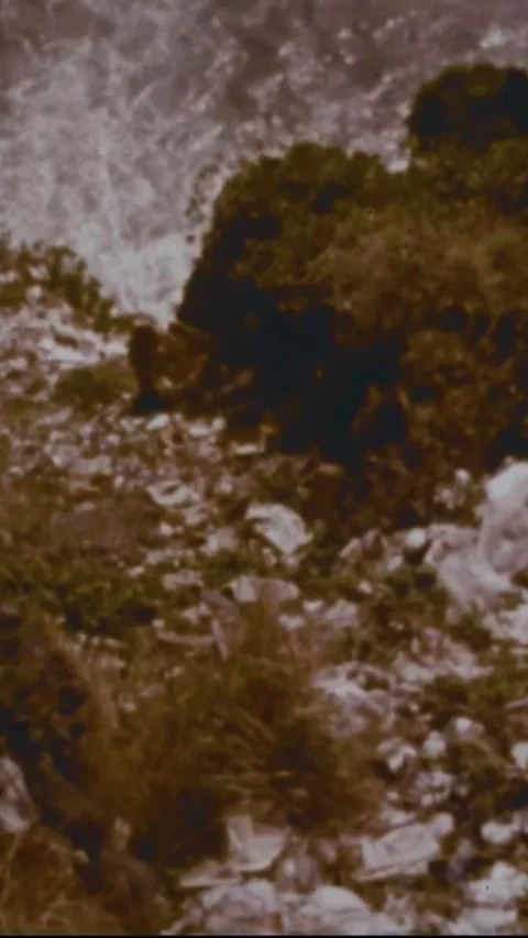 USA - 1970 - Litter is a common problem in the parts of the US with no refuse Stock Footage 342830314