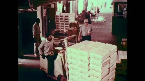 USA - 1970 - People work in a fruit warehouse using a forklift. Apple crates go Stock Footage 328179788