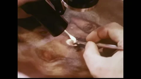 USA - 1970s - A man looks in a microscope restoring a painting. A man works on a Stock Footage 327735425