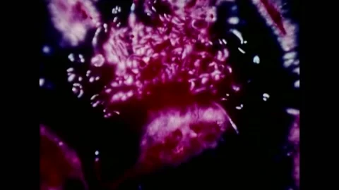 USA - 1972 - Different metaphysical words flash across the screen after colorful Stock Footage 327741519