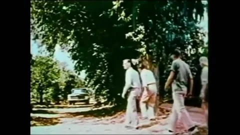 USA - 1972 - In this horror fantasy, a group inspects a car in the woods. Stock Footage 325215853
