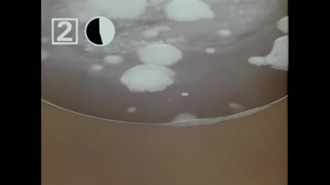 USA - 1972 - In this partially stop-motion animated film, Louis Pasteur climbs Stock Footage 340663819