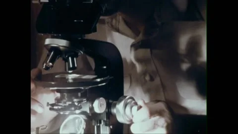 USA - 1982 - Behavioral biologists study how paramecium feed on a leaf and Stock-Footage 261570087