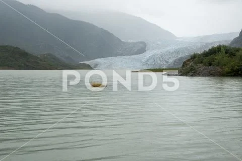 USA Alaska - Mendenhall Glacier and Lake Stock Photos