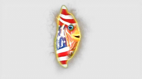 USA alpha Stock Footage 259839681