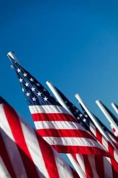 USA american flags in a row Foto stock