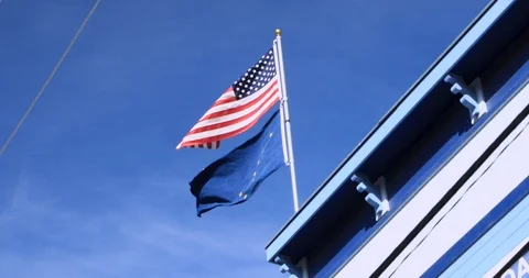 USA and Alaska Flags Stock-Footage 94011167