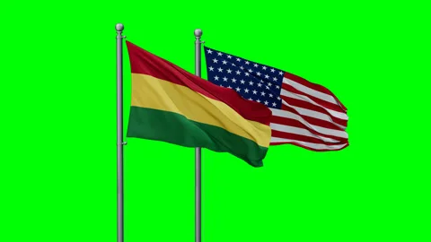 USA and Bolivia flags Stock Footage 293203583