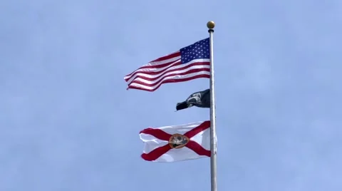 USA and Florida State Flag Stock Footage