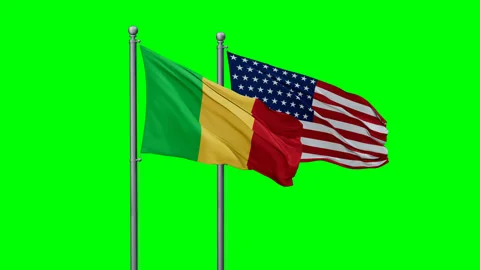 USA and Mali flags Stock Footage 294260287
