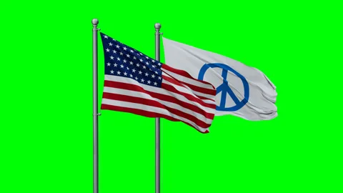 USA and Peace two flags Stock Footage 289669248