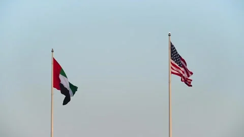 USA and UAE flags are blown in the wind Stock Footage 309236295