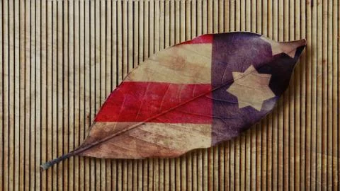 Usa Autumn Leaf Stock Illustration