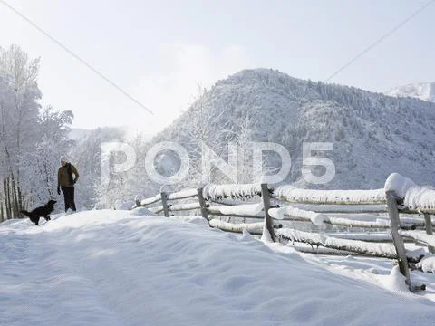 Usa, Colorado, Woman And Dog In Snowy Ranch