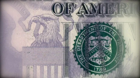 Usa dollar different bills animation Stock Footage 119369285