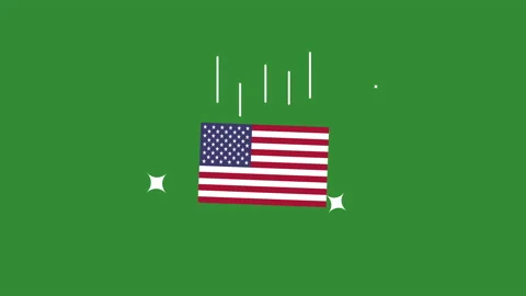 Usa flag animation concept. Stock Footage 168411327