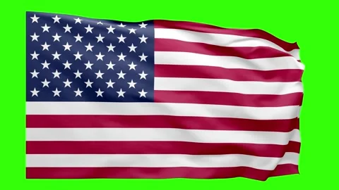 USA Flag Animation Stock Footage 316548869