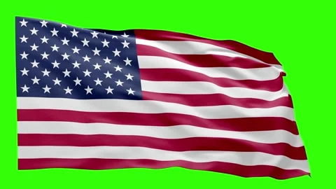 USA Flag Animation Stock Footage 316548887