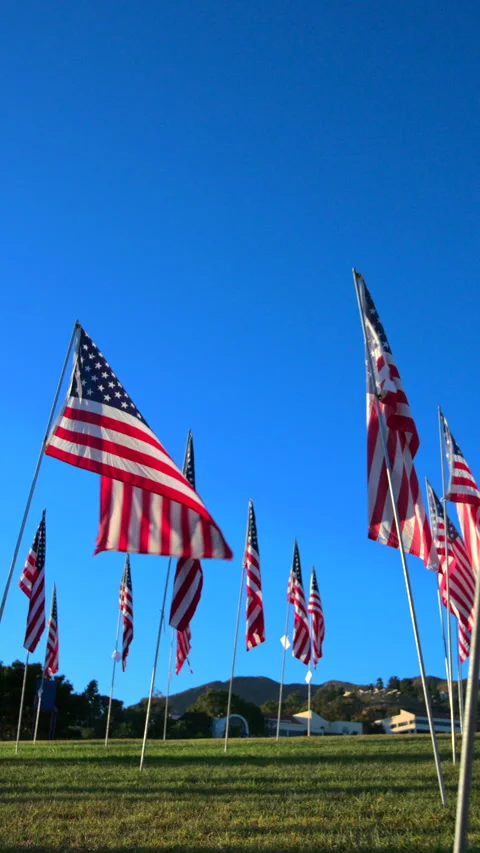 USA Flag Display at September 11 Memorial Tribute with Mountains and Blue Sky. Vídeo Stock 338257243