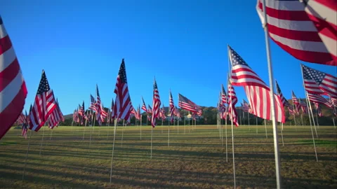 USA Flag Display at September 11 Memorial Tribute on Green Field. Vídeo Stock 338257958