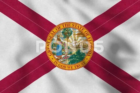 USA Flag of Florida gently waving in the wind Stock Illustration