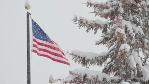USA flag Stock Footage 240929730