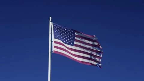 USA FLAG Stock Footage 264010442