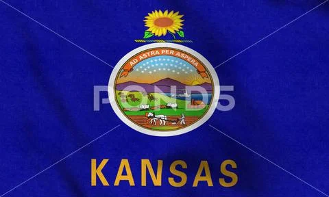 USA Flag of Iowa gently waving in the wind Stock Illustration
