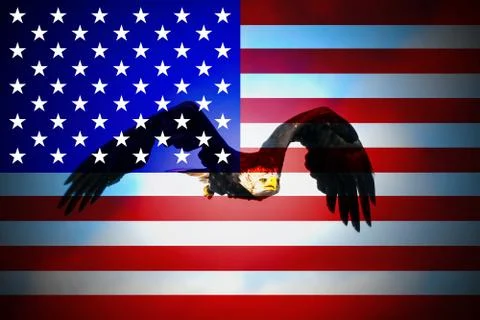 USA flag in minimalistic composition with bald eagle in background Stock Illustration