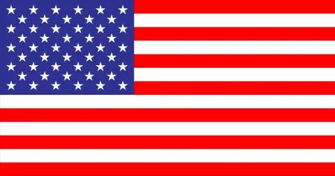 USA Flag in the original size Stock Illustration