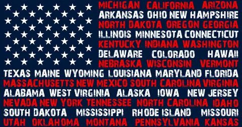USA Flag in the original size Stock Illustration