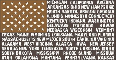 USA Flag in the original size Stock Illustration