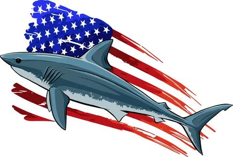 USA flag over Shark vector silhouette isolated on white. Stock Illustration