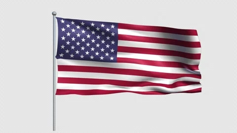 USA Flag - Pack 1 Stock Footage 340236394