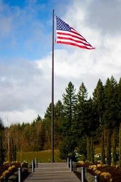 USA Flag Stock Photos