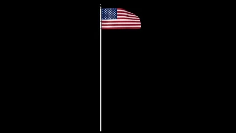 USA Flag on Pole with Alpha Channel 库存影片 87324087