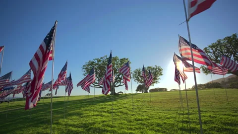 USA Flag September 11 Memorial Tribute with American Flags on Sunlit Green. Vídeo Stock 338258209