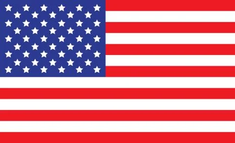 USA flag. Simple vector The United States of America flag Stock Illustration