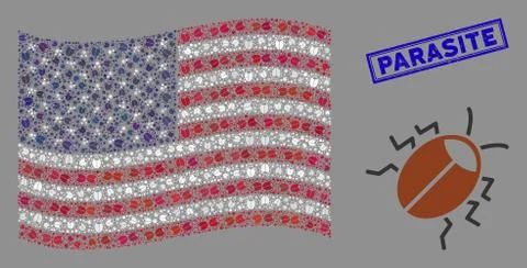 USA Flag Stylized Composition of Bug and Grunge Parasite Seal Stock Illustration