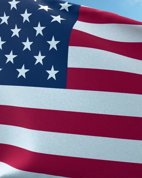 USA flag at sunset Stock-Footage 299932689