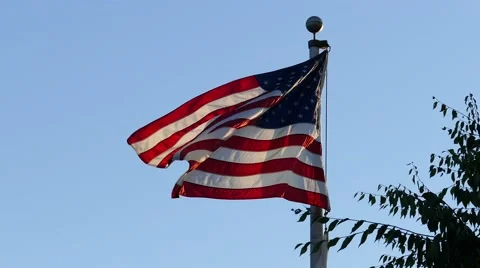 USA Flag At Sunset - Waving On Pole Near Tree Stock Footage 54635282