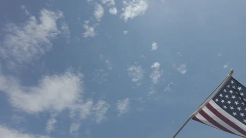 USA Flag Waving 動画素材 310217505