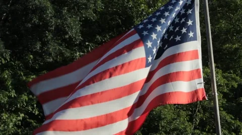 USA Flag Waving with Forest Background Stock Footage 40219948