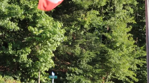 USA Flag Waving with Forest Background Stock Footage 40220055